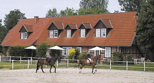 Heidehotel Gut Landliebe Hermannsburg Extérieur photo